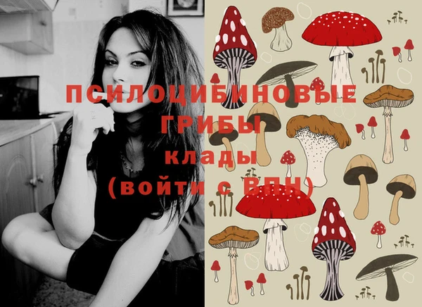метадон Надым