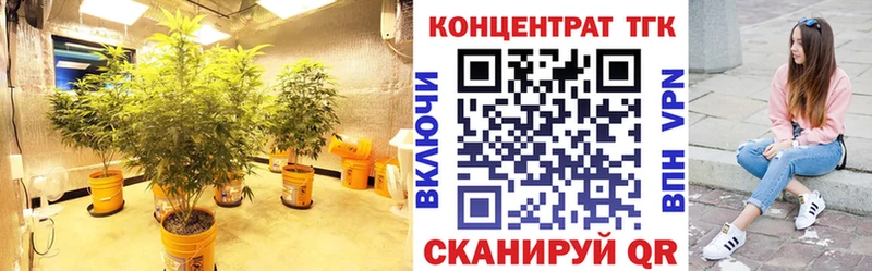 Дистиллят ТГК THC oil  Купить где  Надым 